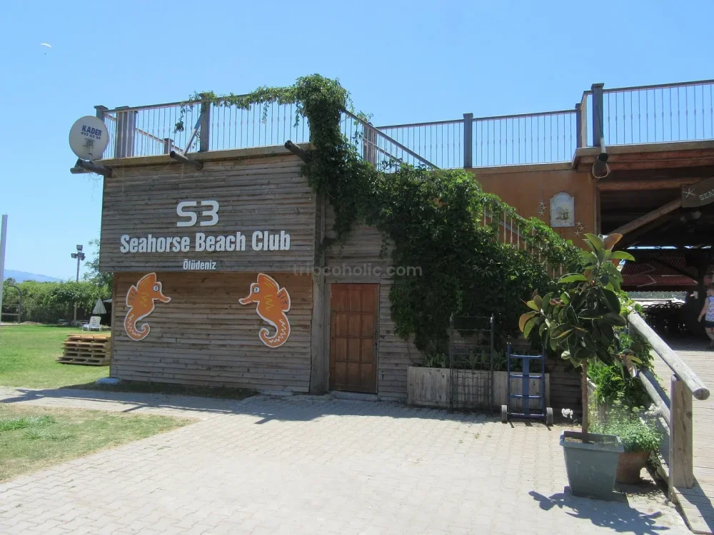 Seahorse beach club