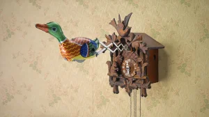 What to Buy from Germany?