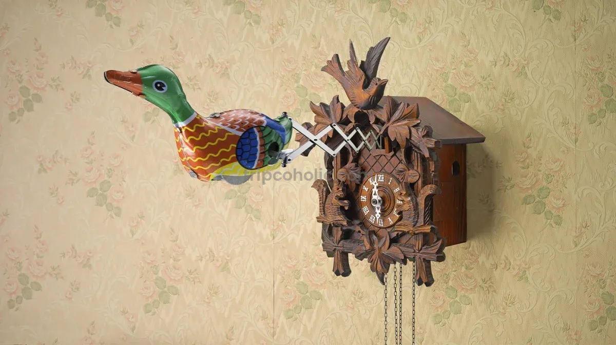 What to Buy from Germany?