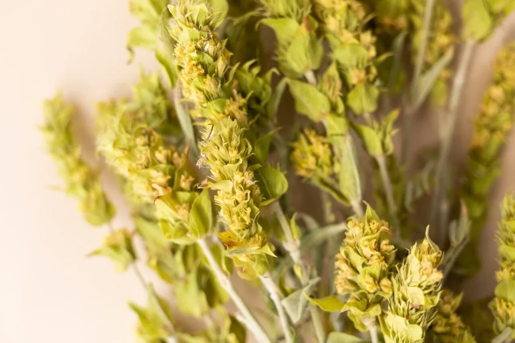 What to Buy in Athens?